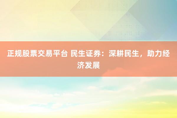 正规股票交易平台 民生证券：深耕民生，助力经济发展