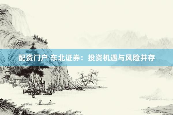 配资门户 东北证券：投资机遇与风险并存