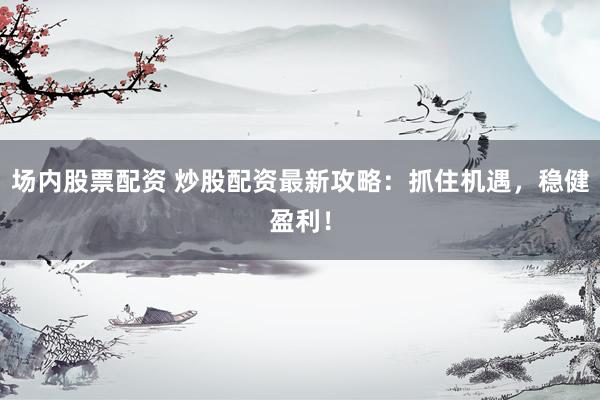 场内股票配资 炒股配资最新攻略：抓住机遇，稳健盈利！