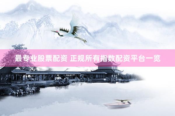 最专业股票配资 正规所有指数配资平台一览