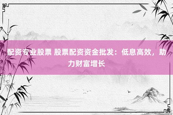 配资专业股票 股票配资资金批发：低息高效，助力财富增长