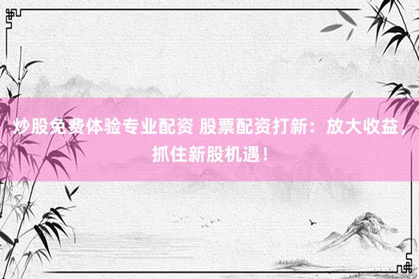 炒股免费体验专业配资 股票配资打新：放大收益，抓住新股机遇！