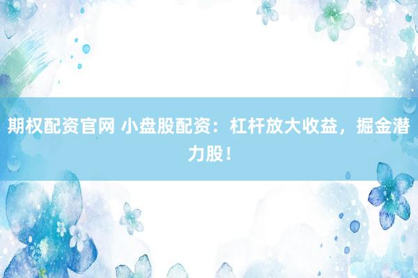 期权配资官网 小盘股配资：杠杆放大收益，掘金潜力股！