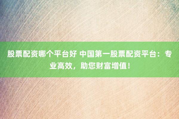 股票配资哪个平台好 中国第一股票配资平台：专业高效，助您财富增值！