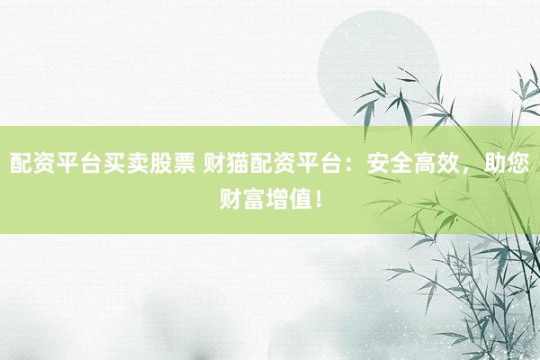 配资平台买卖股票 财猫配资平台：安全高效，助您财富增值！