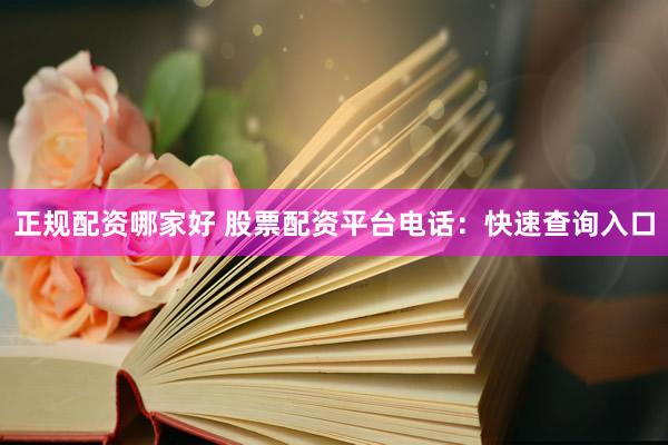 正规配资哪家好 股票配资平台电话：快速查询入口