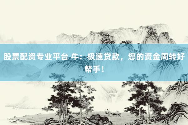 股票配资专业平台 牛：极速贷款，您的资金周转好帮手！
