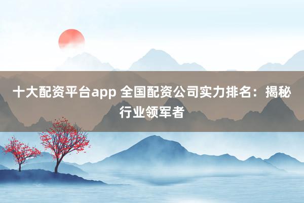十大配资平台app 全国配资公司实力排名：揭秘行业领军者