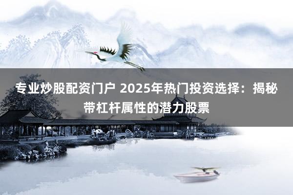 专业炒股配资门户 2025年热门投资选择：揭秘带杠杆属性的潜力股票