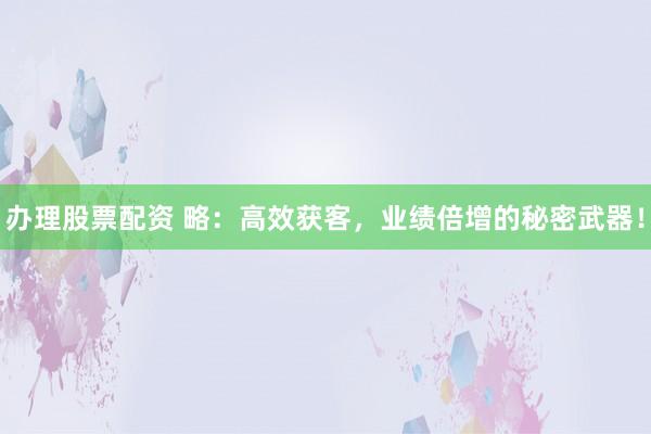办理股票配资 略:高效获客,业绩倍增的秘密武器!