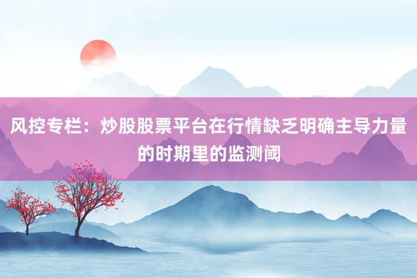 风控专栏：炒股股票平台在行情缺乏明确主导力量的时期里的监测阈