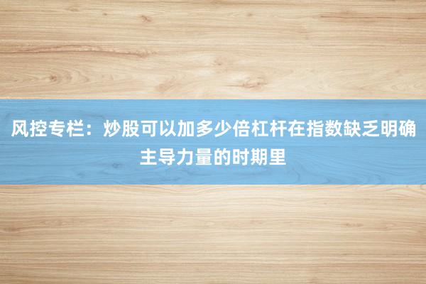 风控专栏:炒股可以加多少倍杠杆在指数缺乏明确主导力量的时期里