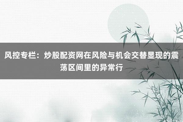 风控专栏:炒股配资网在风险与机会交替显现的震荡区间里的异常行