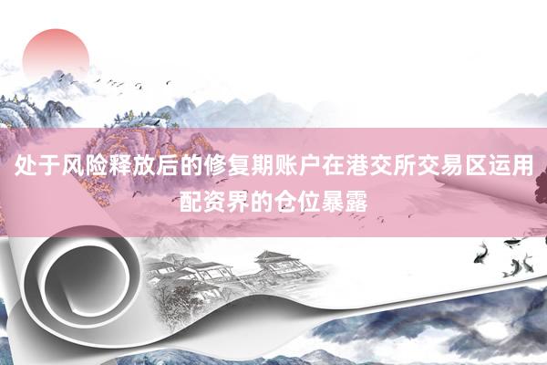 处于风险释放后的修复期账户在港交所交易区运用配资界的仓位暴露