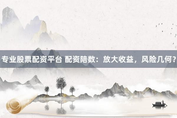 专业股票配资平台 配资陪数：放大收益，风险几何？