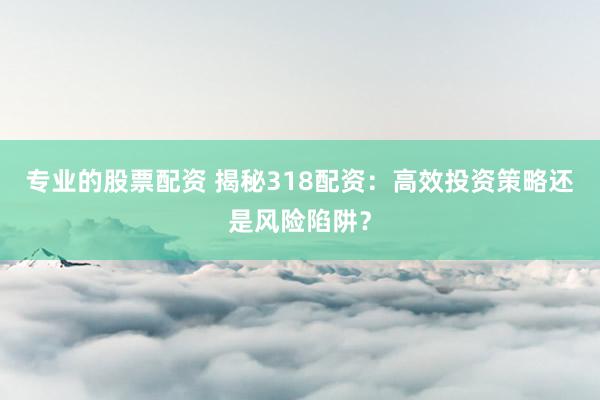 专业的股票配资 揭秘318配资:高效投资策略还是风险陷阱?