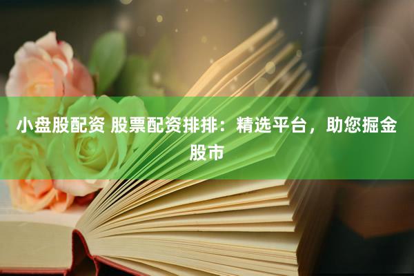 小盘股配资 股票配资排排：精选平台，助您掘金股市