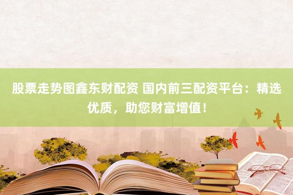 股票走势图鑫东财配资 国内前三配资平台：精选优质，助您财富增值！