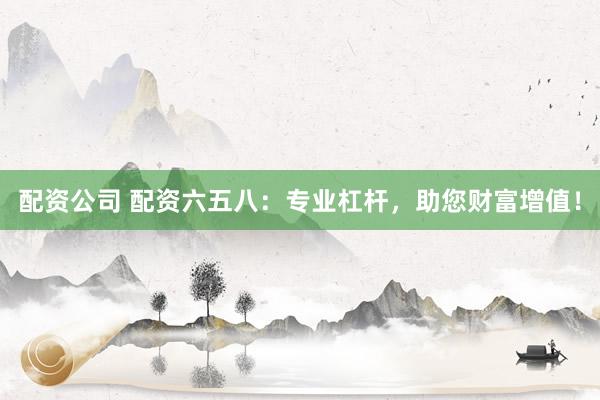 配资公司 配资六五八：专业杠杆，助您财富增值！